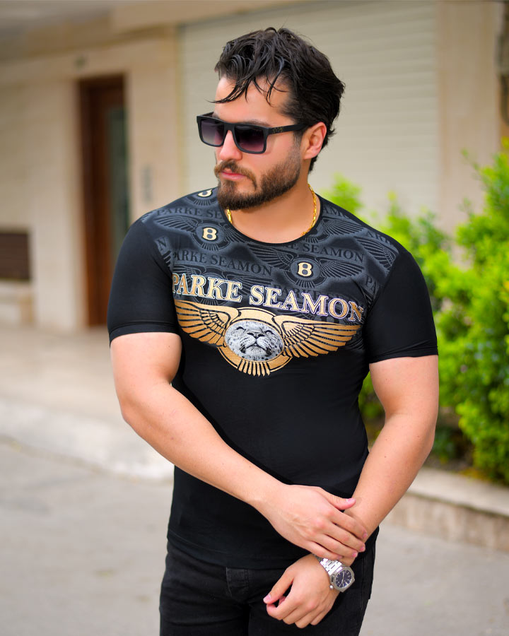 تیشرت مردانه مدل SIAMON کد 6297